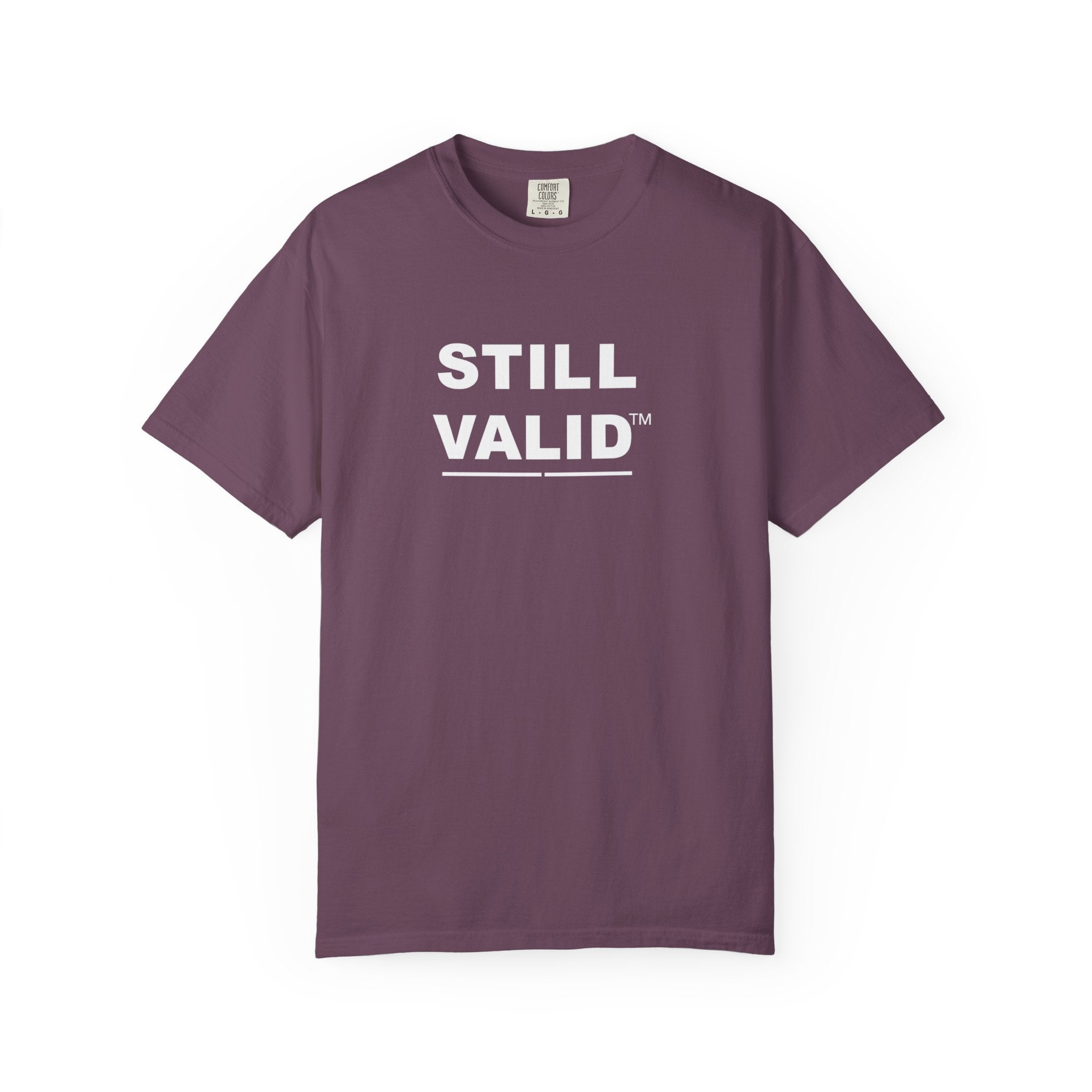 STILL VALID™ — Classic Garment-Dyed T-Shirt