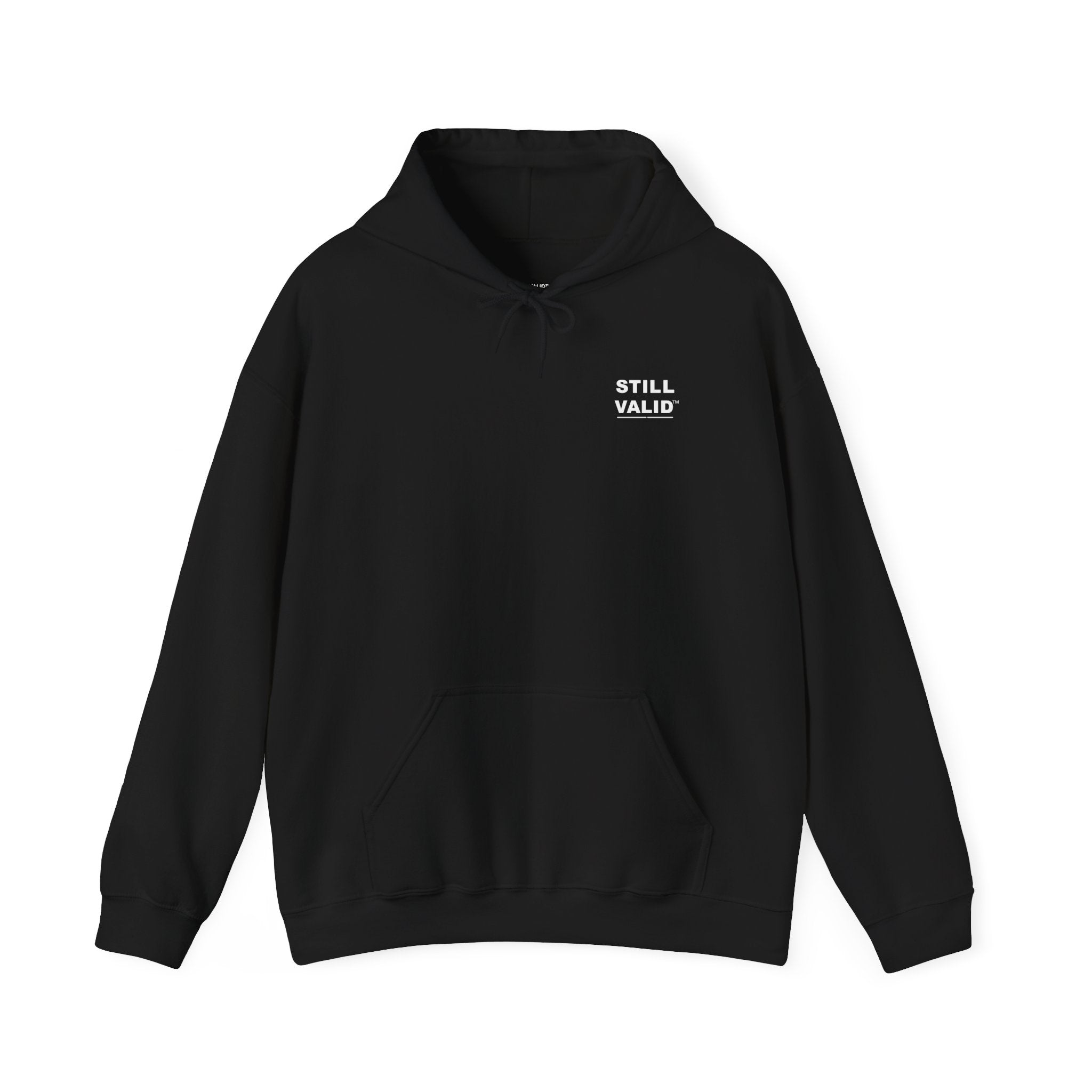 STILL VALID™ ALL in. ALL the time. ALLy. Hoodie