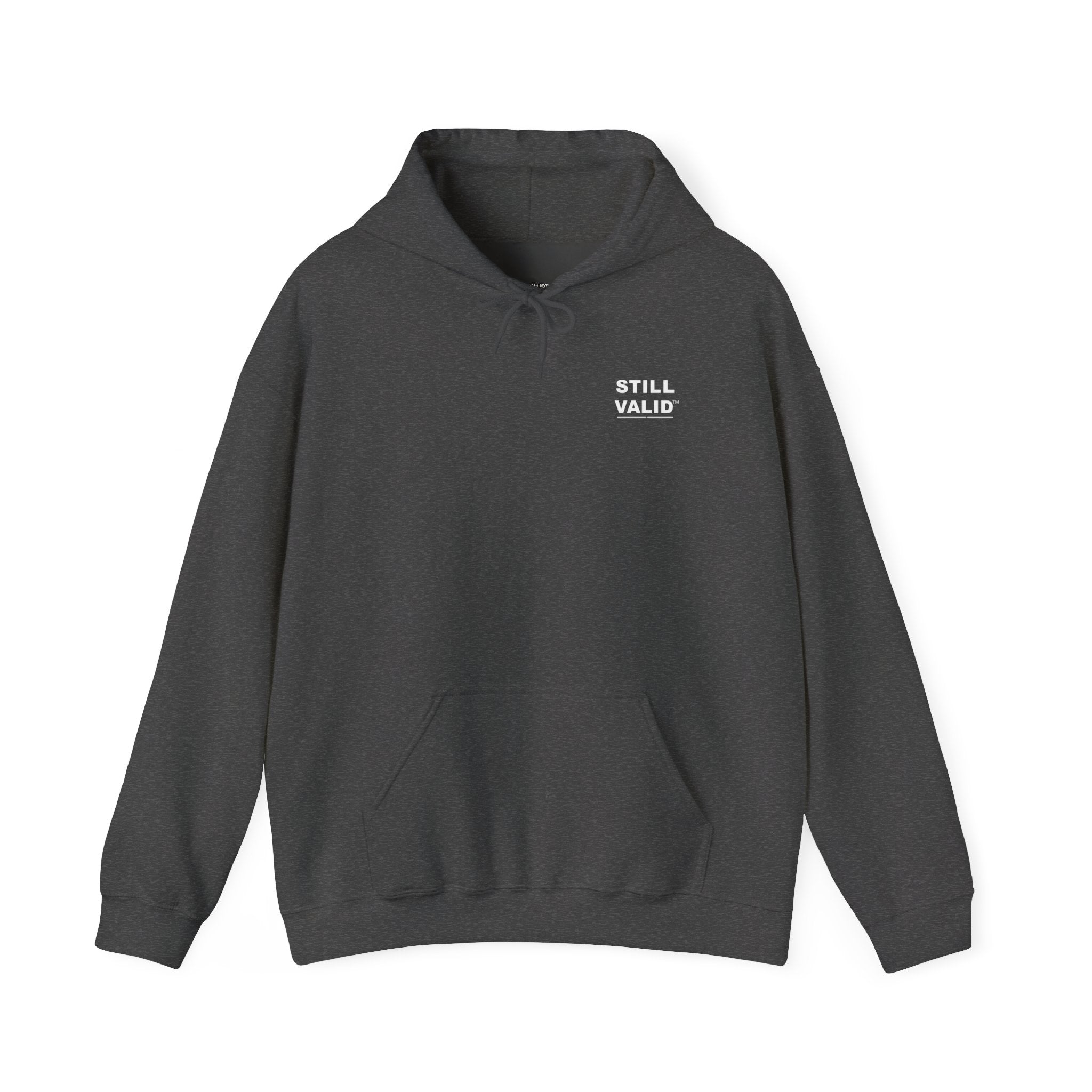 STILL VALID™ ALL in. ALL the time. ALLy. Hoodie
