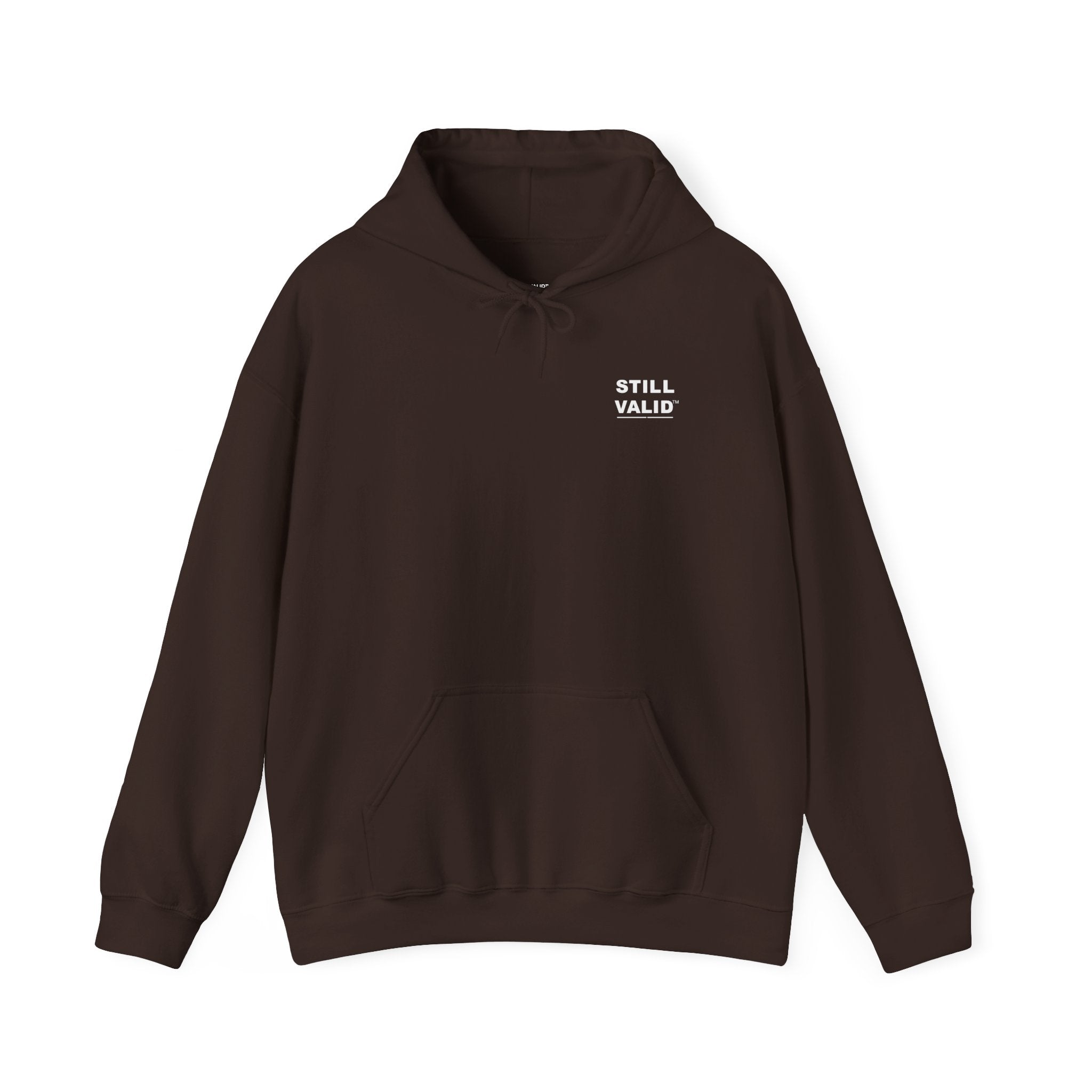 STILL VALID™ ALL in. ALL the time. ALLy. Hoodie
